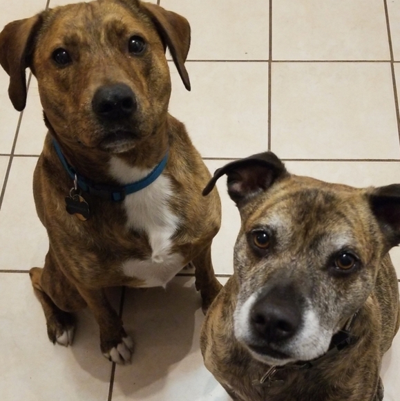 Meet your seller/buyer!! - Picture 3 of 4